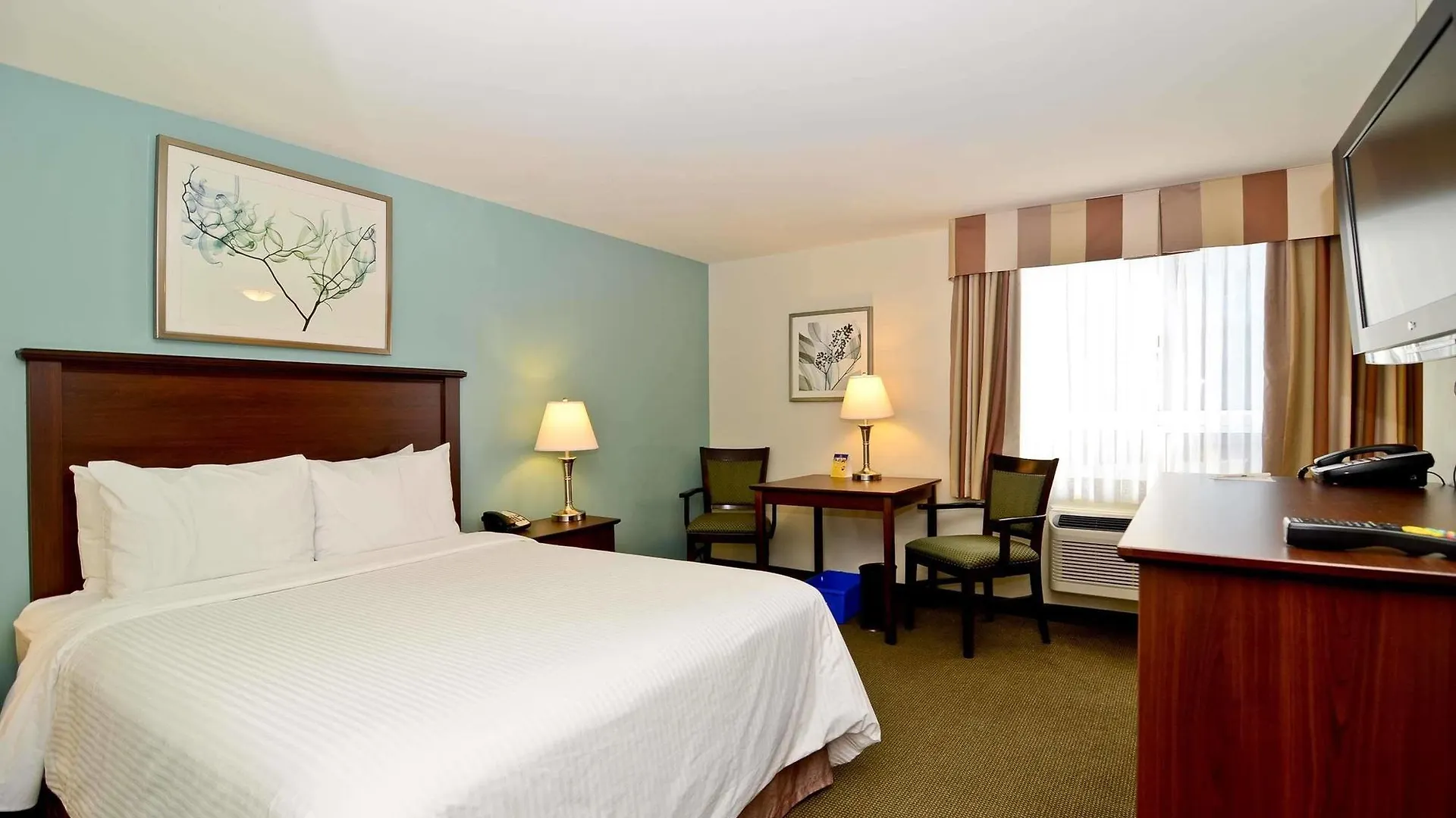 Best Western Plus Chocolate Lake Hotel - Halifax